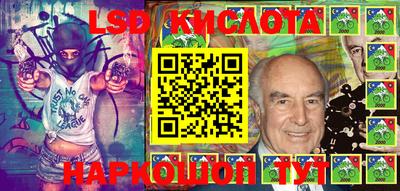 гашик Донской