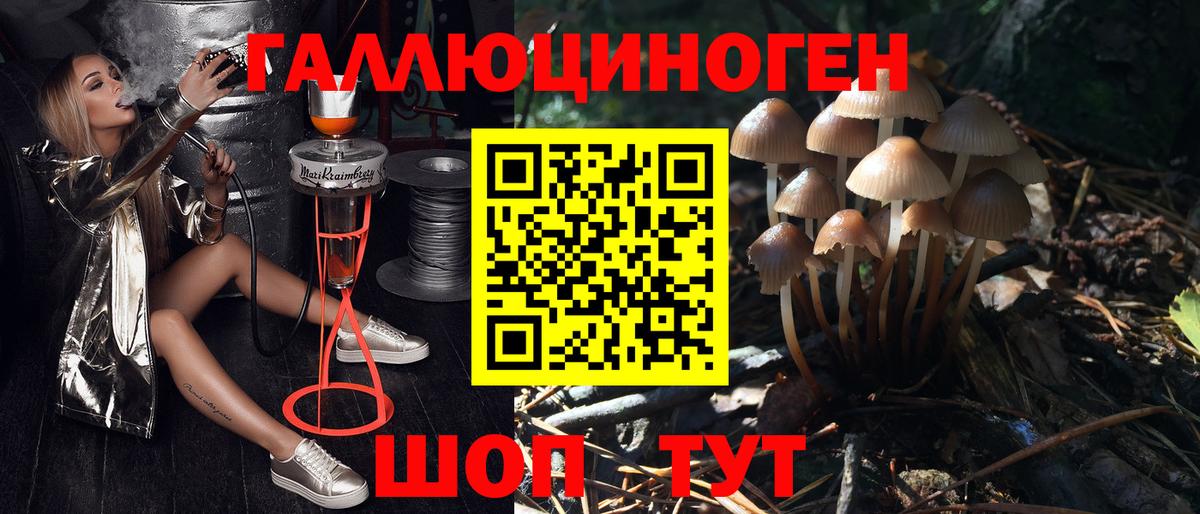 Галлюциногенные грибы прущие грибы  Вход с VPN  Луховицы  Псилоцибиновые грибы Psilocybe 