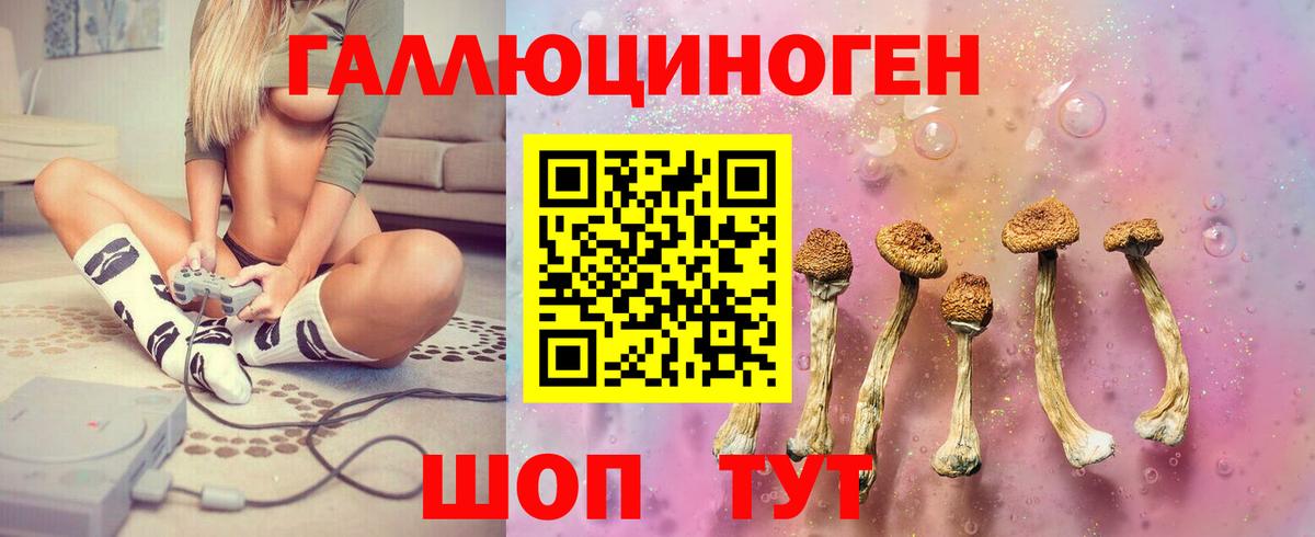 Псилоцибиновые грибы Cubensis Луховицы