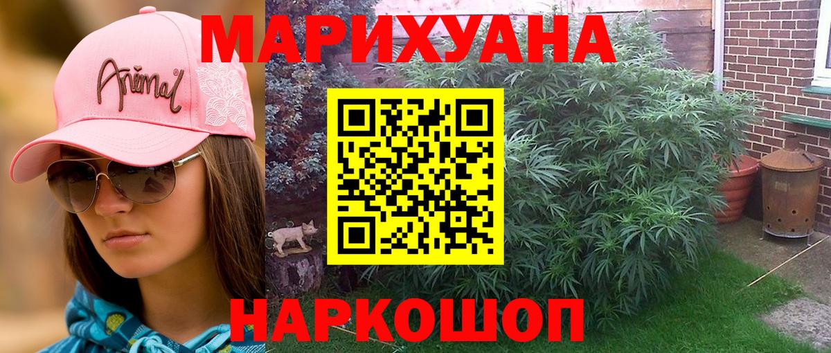 Шишки марихуана Ganja  Бошки марихуана гибрид  МАРИХУАНА планчик  Луховицы  Вход с VPN  Канабис индика 